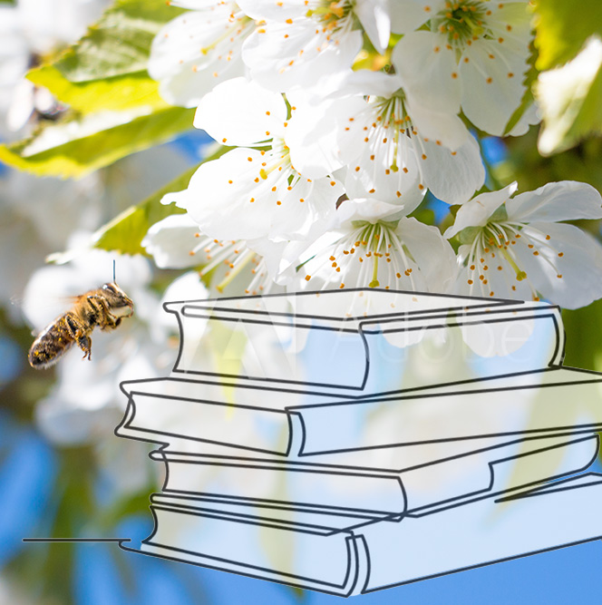 Bild Biene Obstbblüte Bücher
