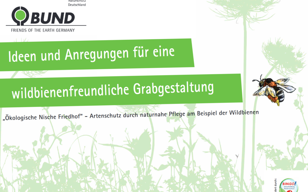 Wildbienenfreundliche Grabgestaltung